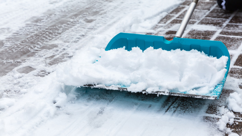 Blue snow shovel with a modest amount of snow on the blade