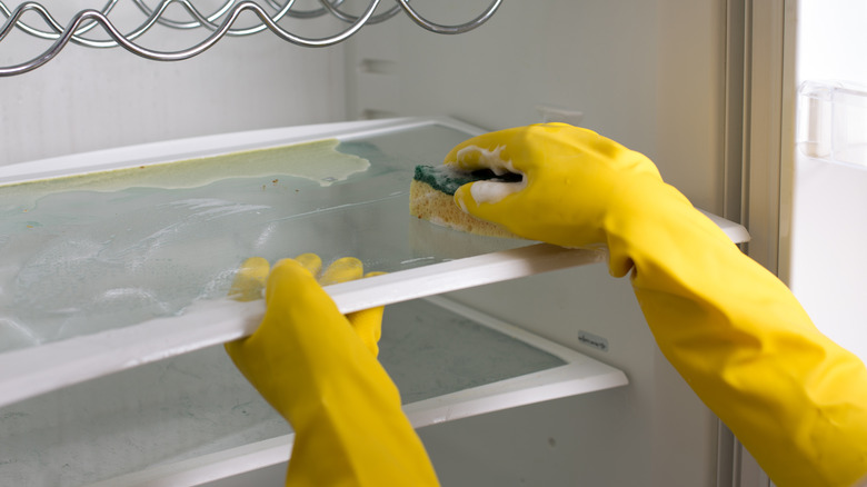 Person cleaning fridge
