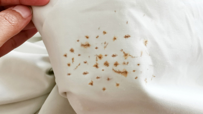 rust on white clothing