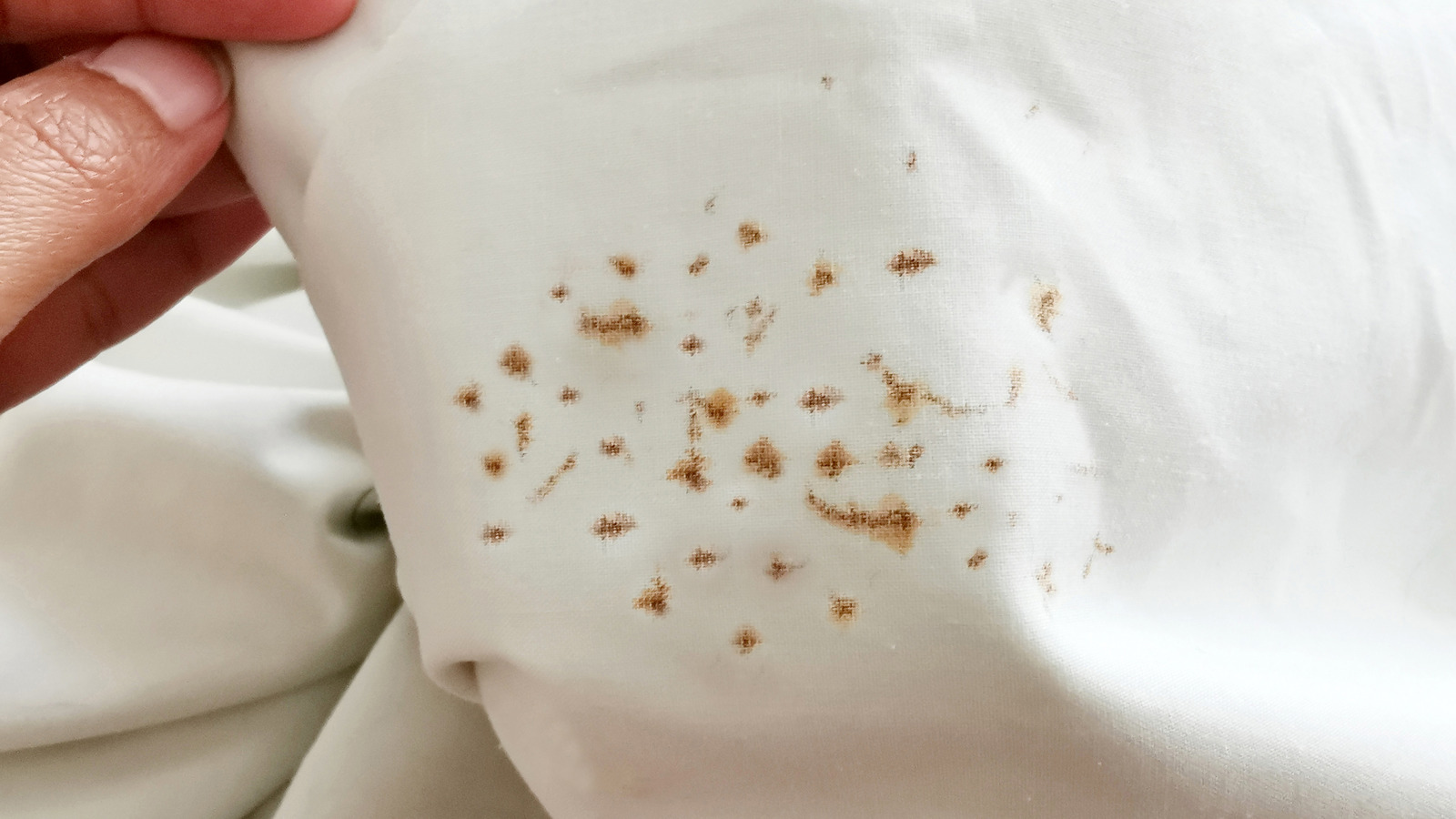 How to Remove Rust Stains from Clothes