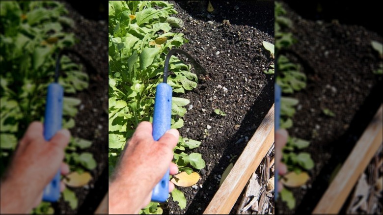 person using CobraHeader weeder and cultivator in the garden