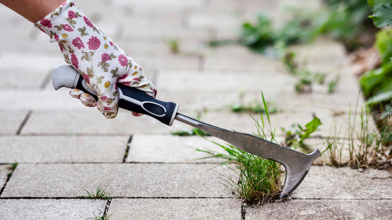 Someone with a flower-printed glove takes to a big grassy weed with a gardening knife.