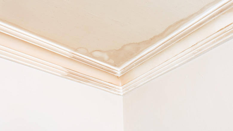 Ceiling water stain in the corner of a room near the trim