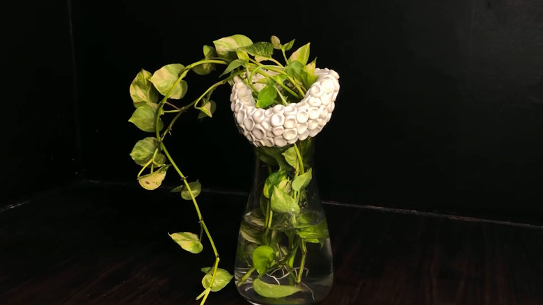 Clear vase with clay to cover the broken edge and a plant coming out of it