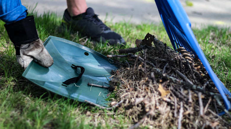 Person collecting yard debris with a scoop