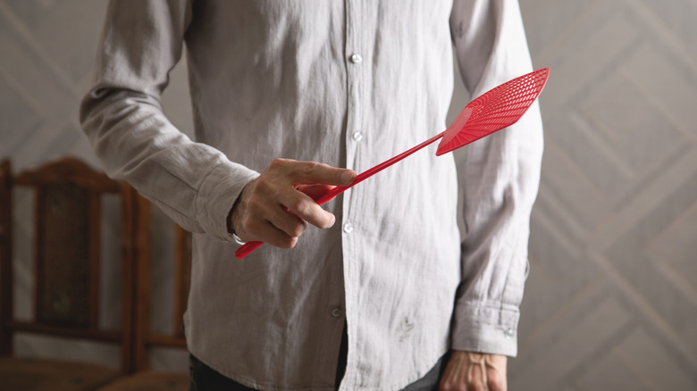 Person with fly swatter in hand