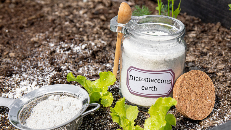 Glass yard filled with white powder and cork top sitting on the ground.