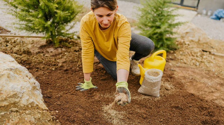 Someone planting seed in a yard