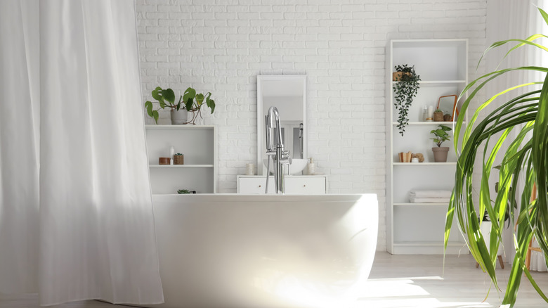 Interior of light room with bathtub, curtain, and plants