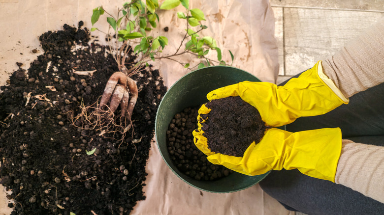 A woman in yellow household gloves is holding potting soil in her palms before transplanting a plant
