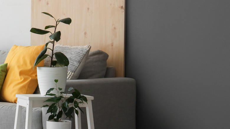 Potted plants on side table next to sofa, with medium gray wall in background.