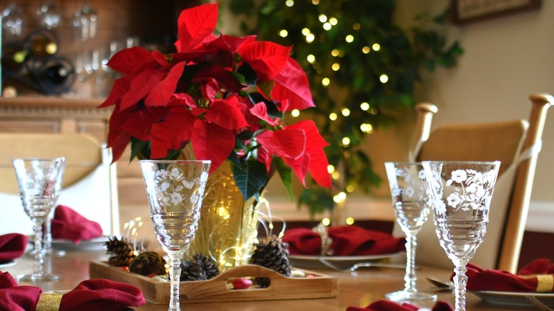 Holiday planter on dining table with poinsettias