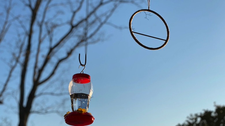 A DIY humming bird swing hang outside.