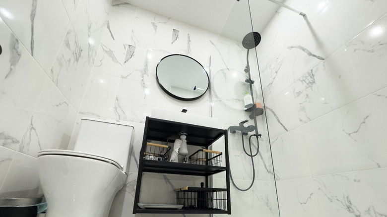 Repurpose A Shoe Rack For Better Under-The-Sink Bathroom Storage