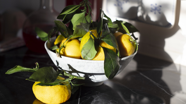Repurpose A Vintage Fruit Bowl Into An Adorable Bird Bath Planter