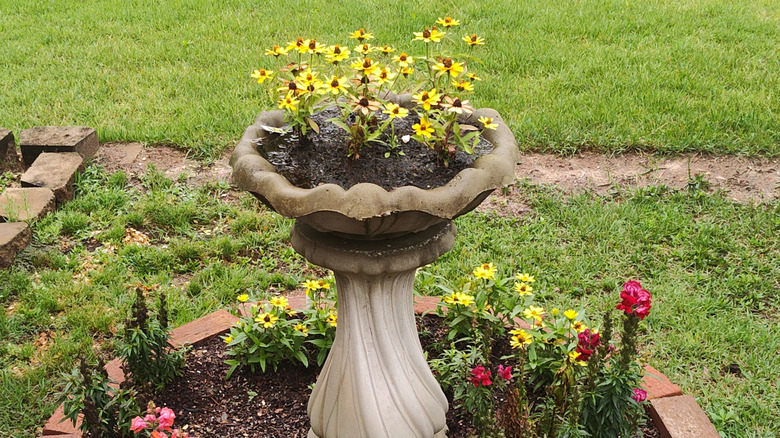 bird bath stocked with flowers in yard