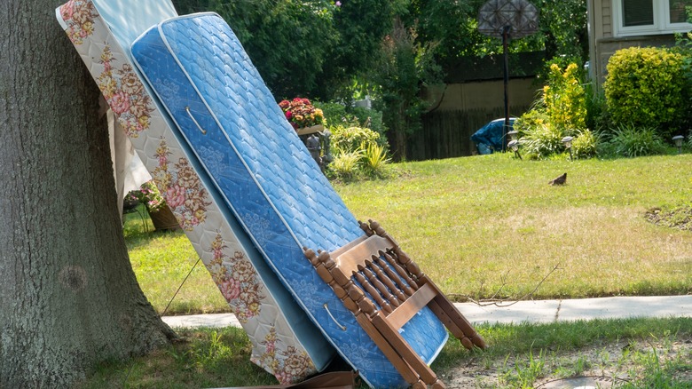 matress box spring leaning on tree