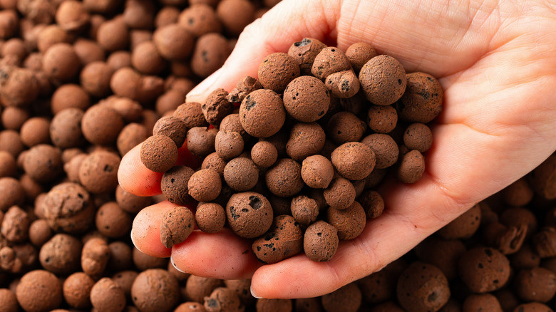 A cupped hand holds LECA clay balls against a background of more clay balls.