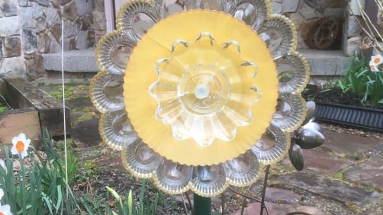 Deviled egg plate flower in a garden
