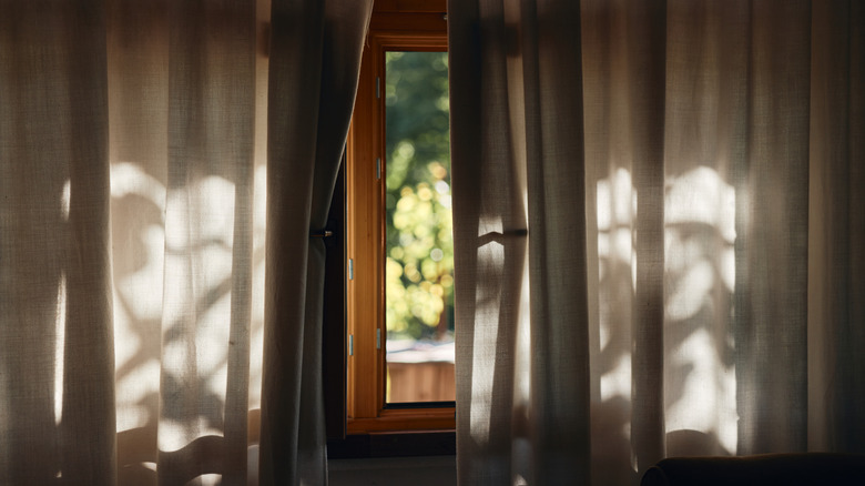 Window in the morning with sunlight.