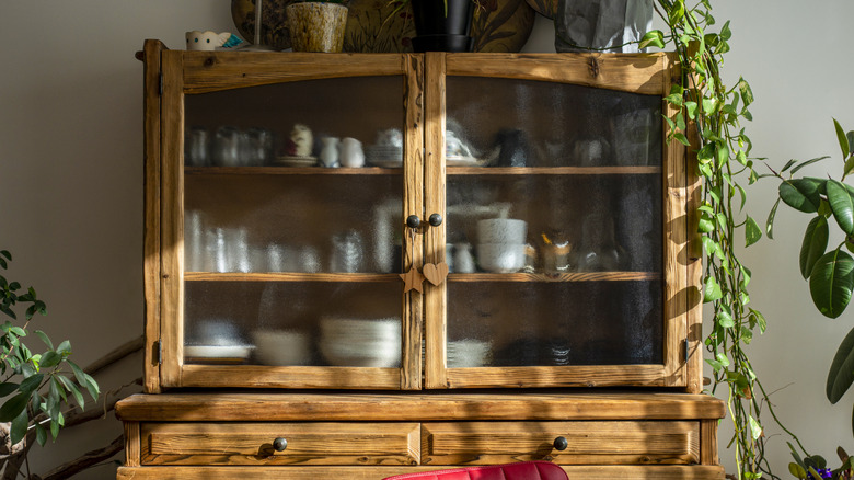 curio cabinet with plants