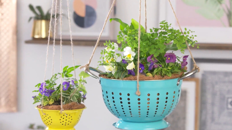 Small yellow and larger turquoise colander used as planters with flowers inside