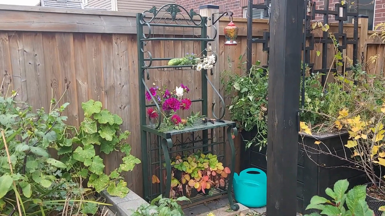 Baker's rack sitting on a patio with plants on it