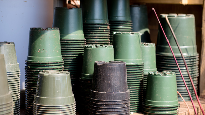 Green and black plastic nursery pots stacked