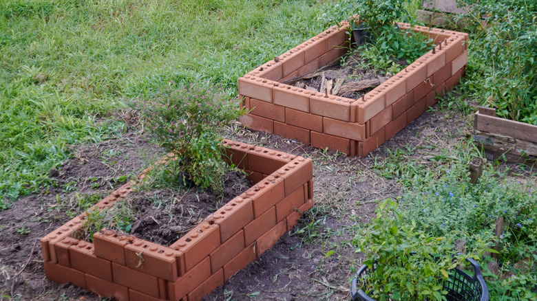 A set of brick walls contain raised garden beds.