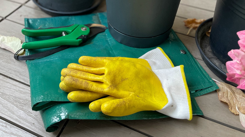 Coated gardening gloves with pair of shears