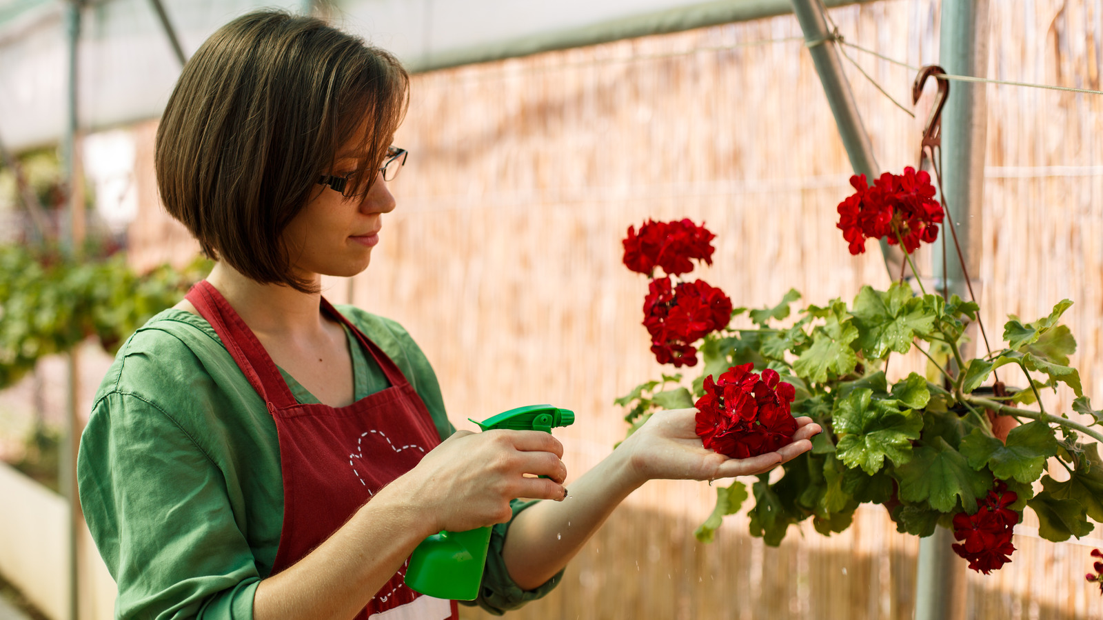 Repurpose Old Lampshade Frames Into DIY Hanging Plant Holders