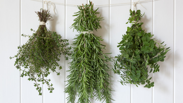 Bundles of herbs hang on a string for drying.