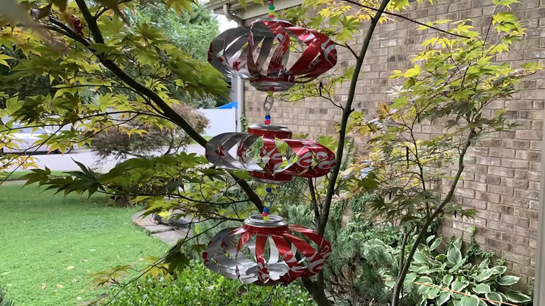 Spinners made from soda cans strung in a tree