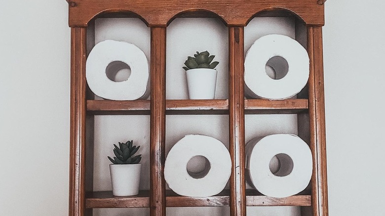 Wooden shelf with toilet paper rolls and plants
