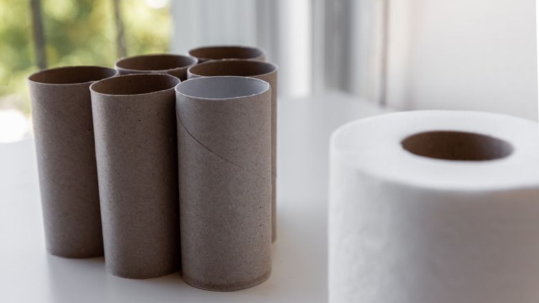 Group of empty toilet paper rolls