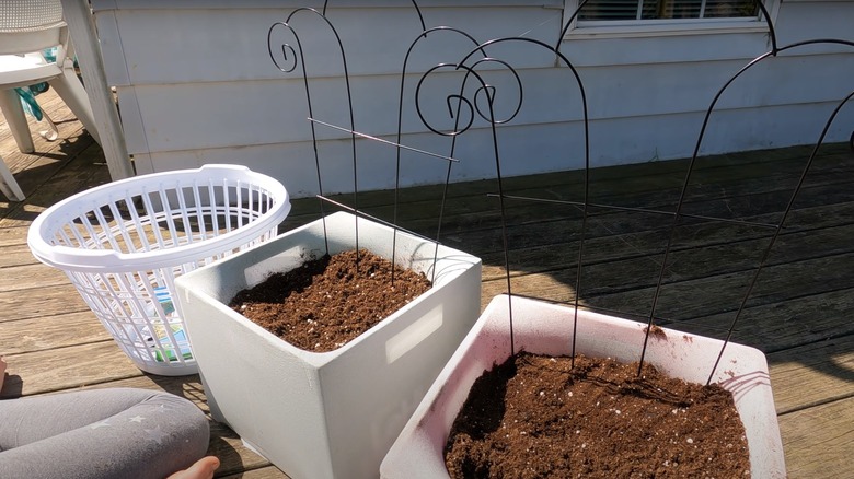 laundry basket and garden soil