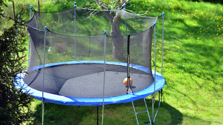 Trampoline in yard