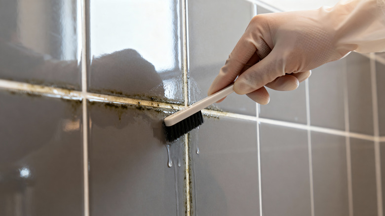 A person with a gloved hand cleaning dirty grout between tiles with a toothbrush