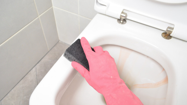 A person wearing pink rubber gloves uses an abrasive gray cleaning too to scrub a toilet with stains