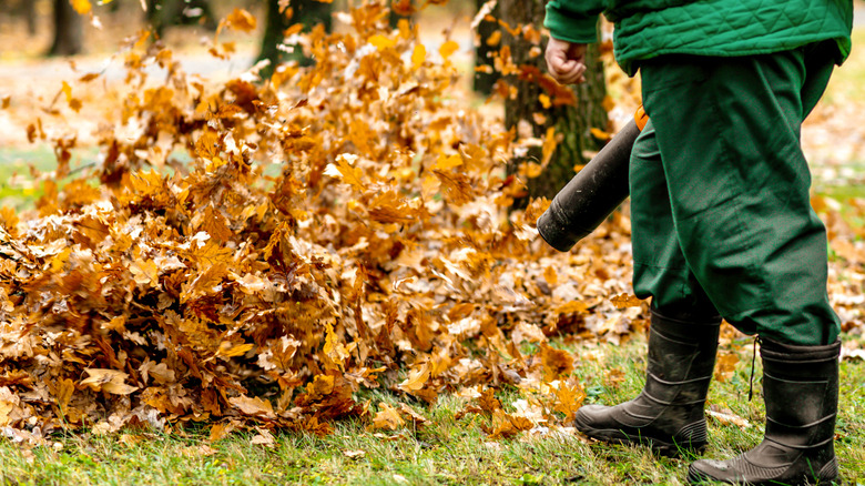 Person using a leaf blower on a pile of orange fall leaves