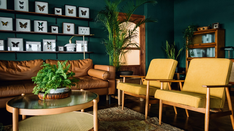 A stylish living room interior with brown and yellow furniture and wooden elements with dark green wall. Decorated with plants and butterfly specimen.