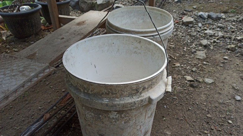 Empty 5 gallon buckets in the yard