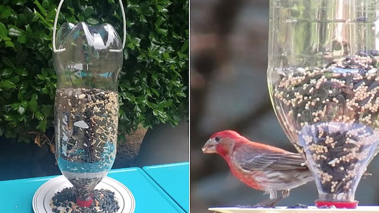 Split image with the completed soda bottle feeder on the left and a pretty bird enjoying the seed in the feeder on the right