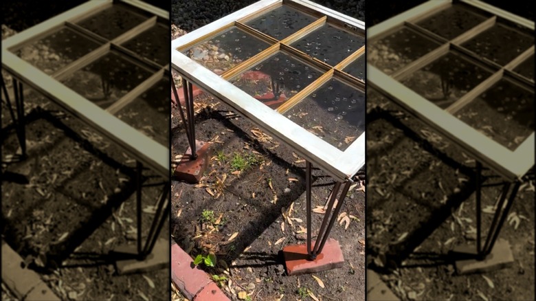 Birdbath made from a repurposed window