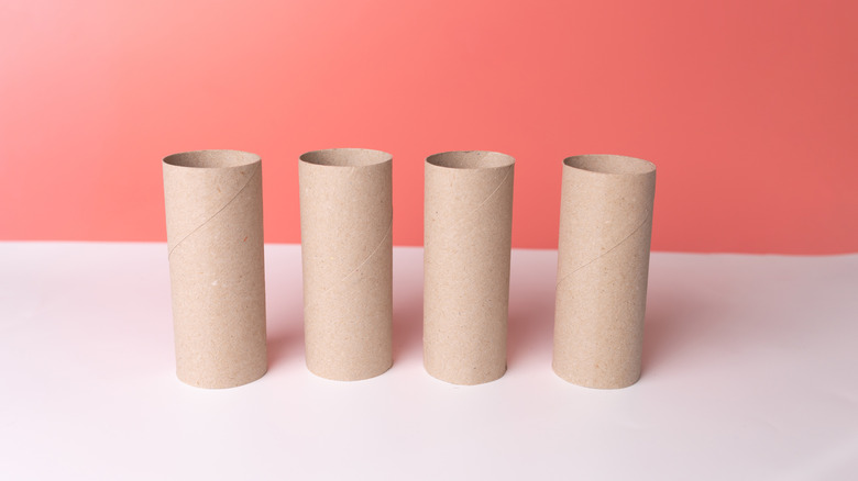 empty toilet paper rolls upright