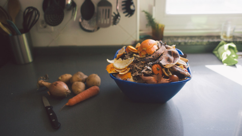 A bowl of fruit scraps on a kitchen countertop