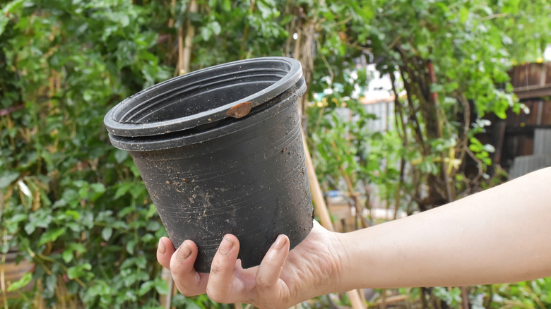 Old black nursery pot in hand