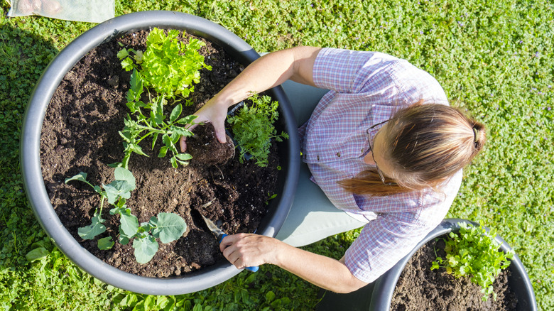 Aerial view of a Caucasian woman planting herbs in a large pot
