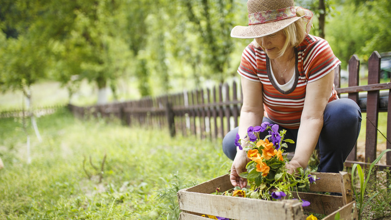 Woman planting in wooden planter