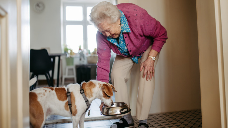 dog eating from bowl held by owner